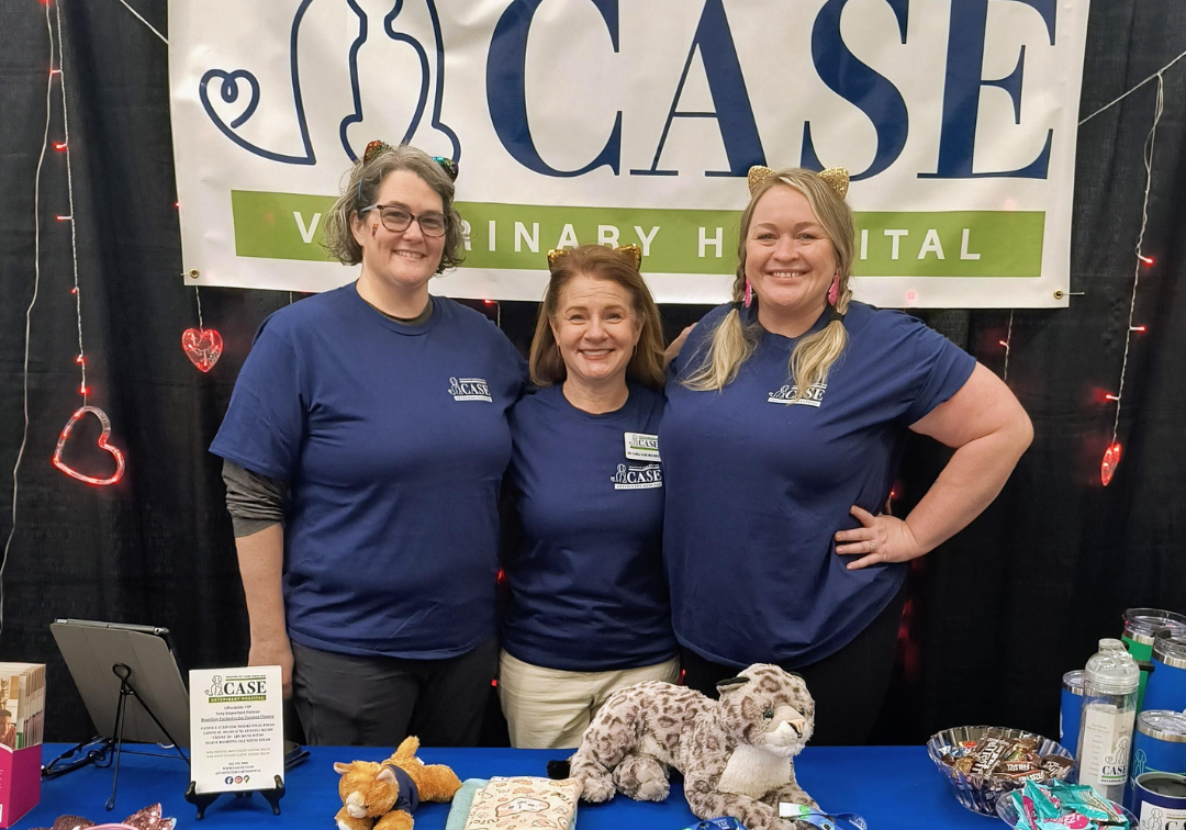 Carla, Kaali and Amy at Whiskercon